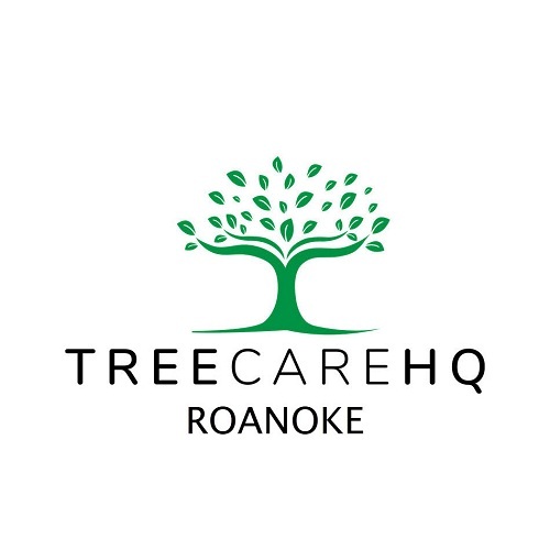 TreeCareHQ Roanoke's Logo